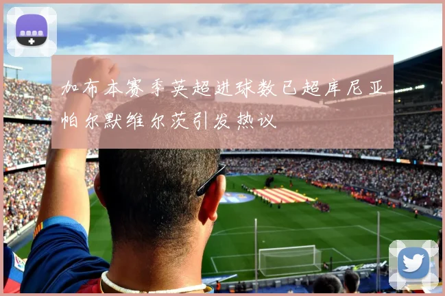 加布本赛季英超进球数已超库尼亚帕尔默维尔茨引发热议