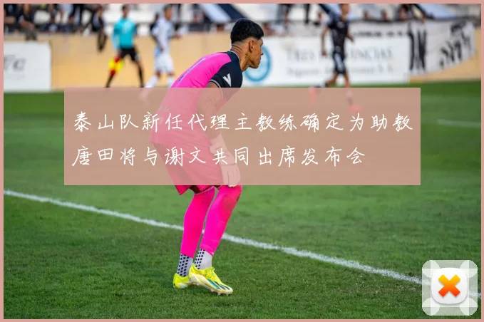 泰山队新任代理主教练确定为助教唐田将与谢文共同出席发布会